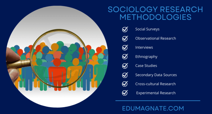 Sociology Research Methodologies