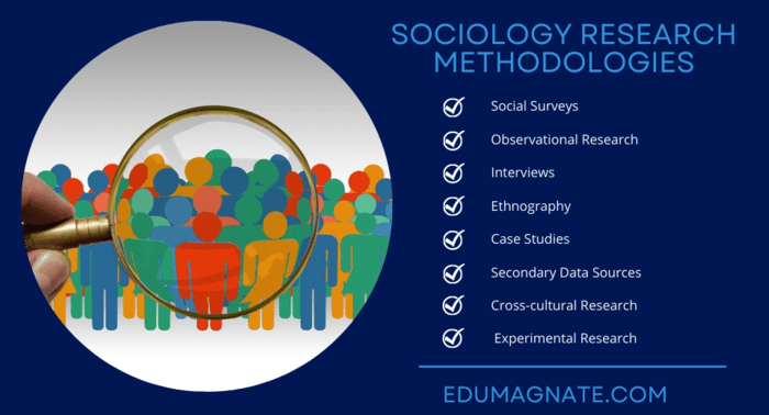 different research methods used in sociology